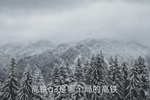 高鐵g3是哪個局的高鐵