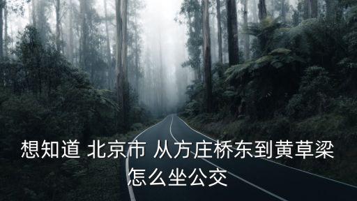 想知道 北京市 從方莊橋東到黃草梁怎么坐公交