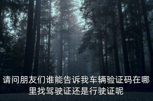 請問朋友們誰能告訴我車輛驗證碼在哪里找駕駛證還是行駛證呢