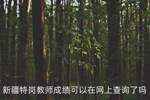 新疆特崗教師成績可以在網上查詢了嗎
