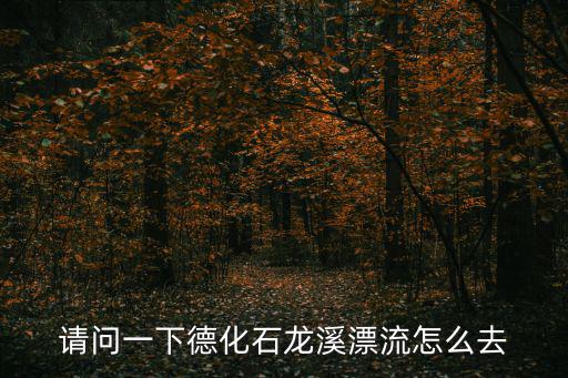 請(qǐng)問(wèn)一下德化石龍溪漂流怎么去