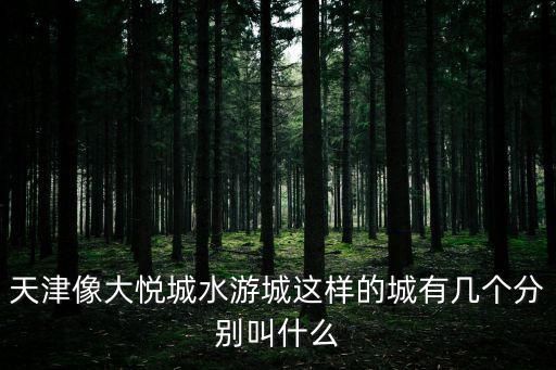 天津像大悅城水游城這樣的城有幾個分別叫什么