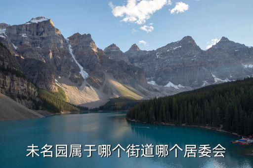 未名園，未名園至莘莊莘北路268號怎么走