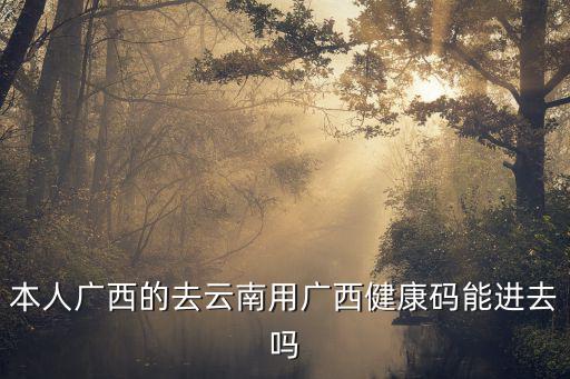 本人廣西的去云南用廣西健康碼能進去嗎