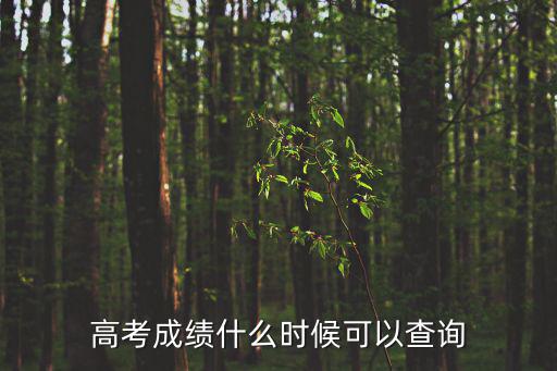 高考成績什么時候可以查詢