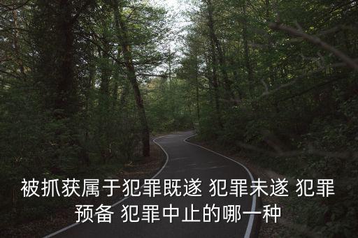 被抓獲屬于犯罪既遂 犯罪未遂 犯罪預備 犯罪中止的哪一種