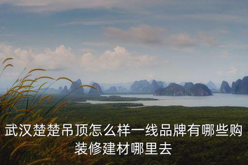 武漢楚楚吊頂怎么樣一線品牌有哪些購裝修建材哪里去