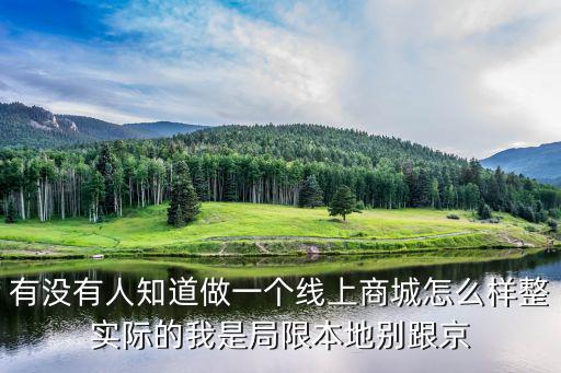 有沒有人知道做一個線上商城怎么樣整實際的我是局限本地別跟京