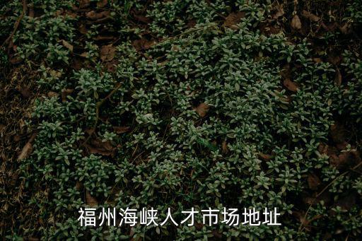 福州海峽人才市場地址