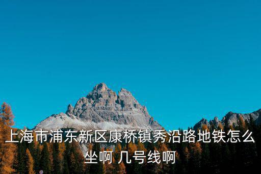 上海市浦東新區康橋鎮秀沿路地鐵怎么坐啊 幾號線啊