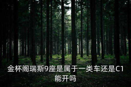 一類車，公路收費站的一類二類三類車的區別