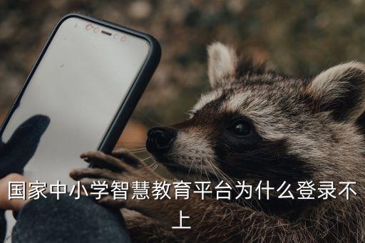 國家中小學(xué)智慧教育平臺(tái)為什么登錄不上