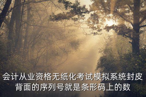 會計從業資格無紙化考試模擬系統封皮背面的序列號就是條形碼上的數