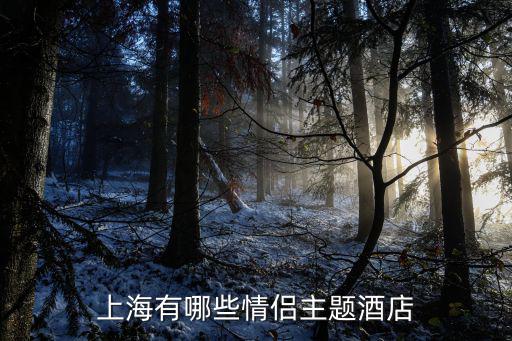 上海有哪些情侶主題酒店