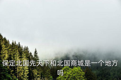 保定北國先天下和北國商城是一個地方嗎