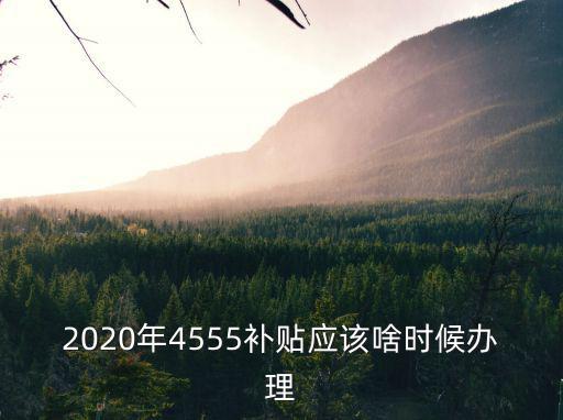2020年4555補貼應該啥時候辦理