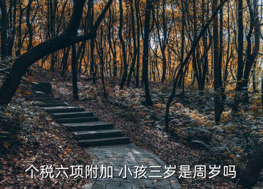 3歲以下嬰幼兒照護專項附加扣除，今年8月孩子滿三周歲可以到8月份重新提交個稅專項扣除嗎