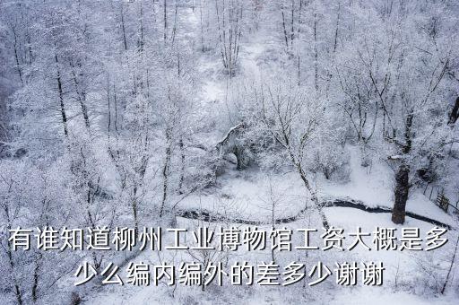 中國工業博物館，有誰知道柳州工業博物館工資大概是多少么編內編外的差多少謝謝