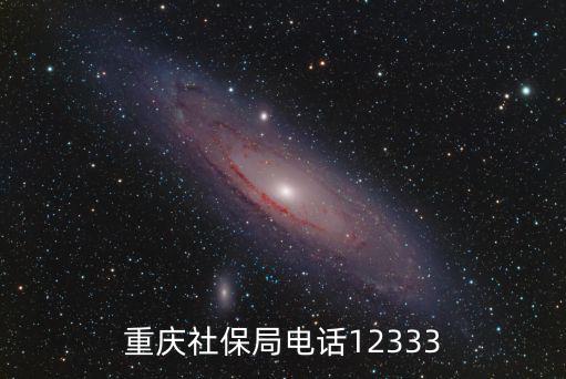重慶社保局電話12333