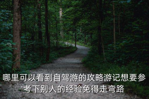哪里可以看到自駕游的攻略游記想要參考下別人的經驗免得走彎路
