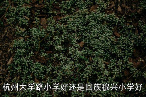 大學路小學，呼和浩特大學路小學教學如何
