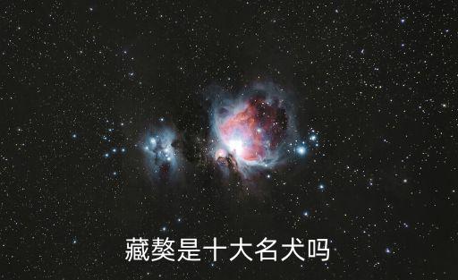 藏獒是十大名犬嗎