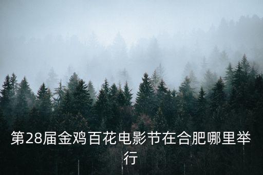 第28屆金雞百花電影節在合肥哪里舉行