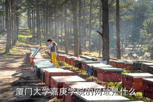 廈門大學嘉庚學院官網，廈門大學嘉庚學院