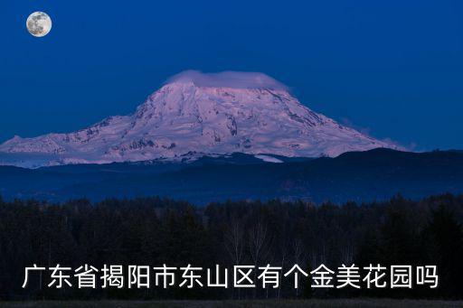 廣東省揭陽市東山區(qū)有個(gè)金美花園嗎