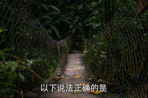 以下說法正確的是，以下說法正確的是