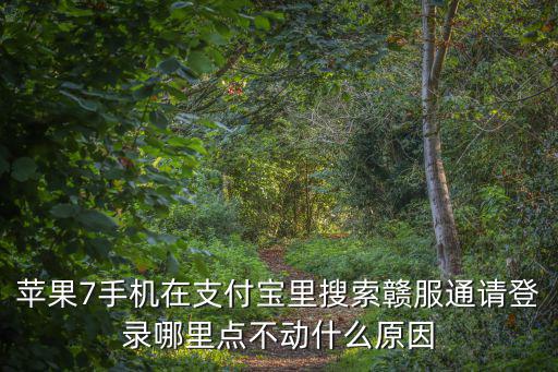 蘋果7手機在支付寶里搜索贛服通請登錄哪里點不動什么原因