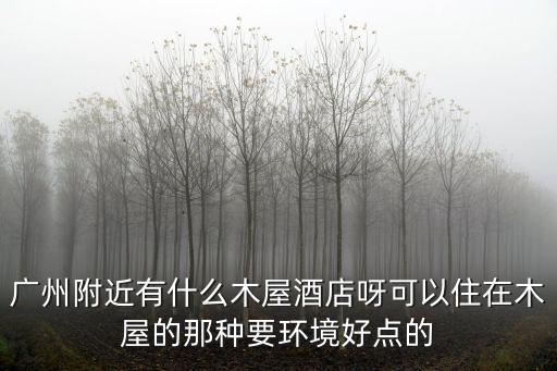 廣州附近有什么木屋酒店呀可以住在木屋的那種要環境好點的