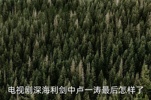 電視劇深海利劍，電視劇深海利劍和火藍刀鋒 哪個比較好看