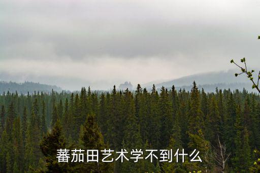 蕃茄田藝術(shù)學不到什么