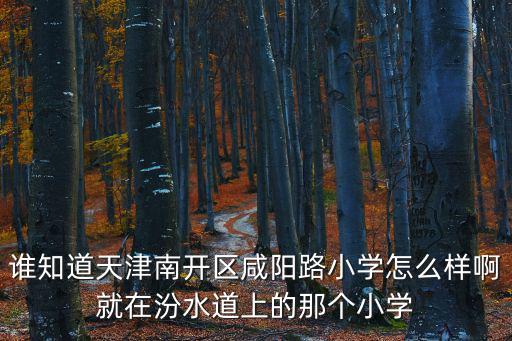 誰知道天津南開區(qū)咸陽路小學怎么樣啊就在汾水道上的那個小學