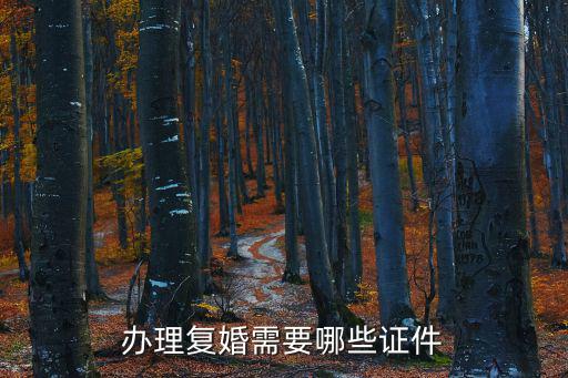 辦理復婚需要哪些證件