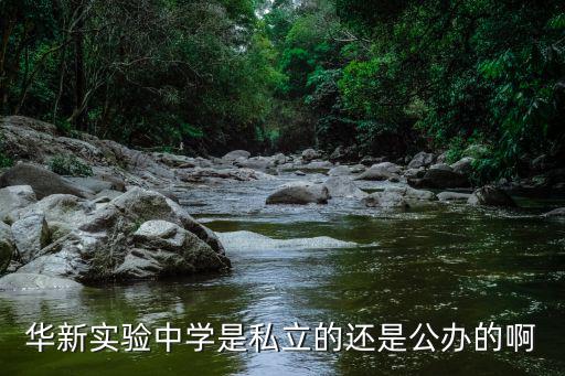 華新實驗中學是私立的還是公辦的啊