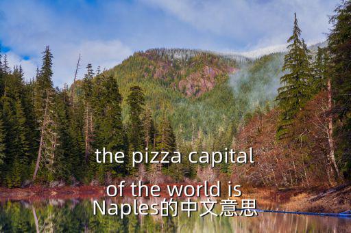 the pizza capital of the world is Naples的中文意思