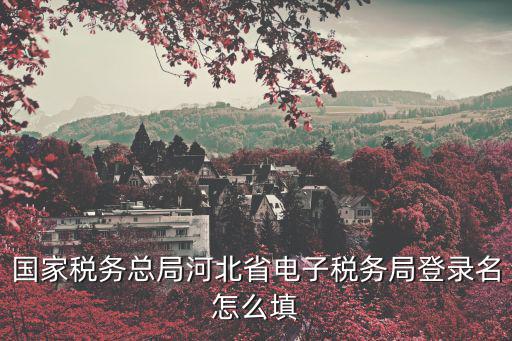 國家稅務(wù)總局河北省電子稅務(wù)局登錄名怎么填