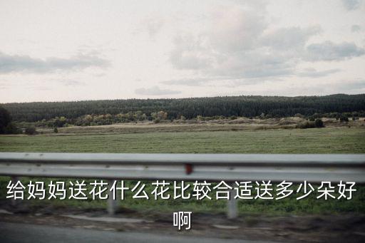 給媽媽送花什么花比較合適送多少朵好啊