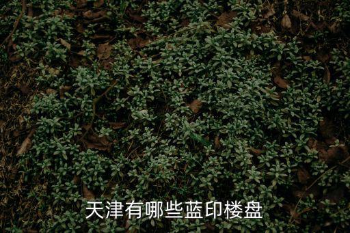 天津有哪些藍印樓盤