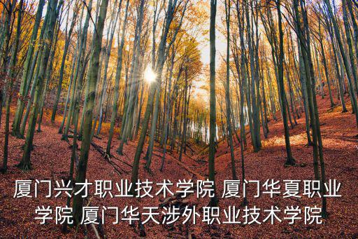 廈門興才職業(yè)技術(shù)學(xué)院 廈門華夏職業(yè)學(xué)院 廈門華天涉外職業(yè)技術(shù)學(xué)院