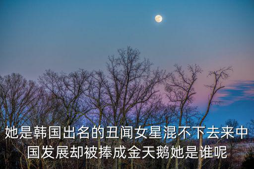 她是韓國出名的丑聞女星混不下去來中國發展卻被捧成金天鵝她是誰呢