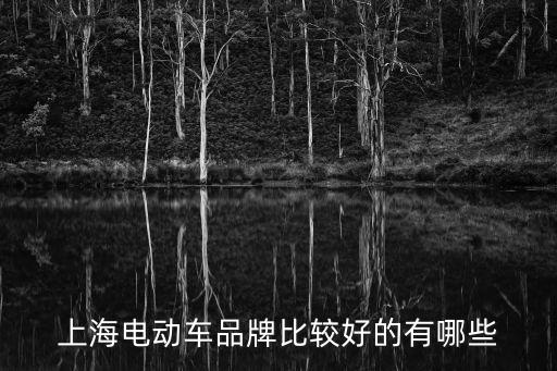 上海電動車品牌比較好的有哪些