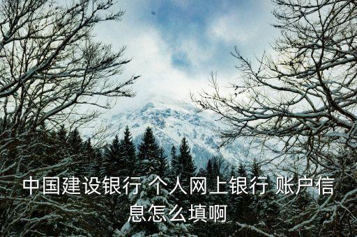 中國(guó)建設(shè)銀行 個(gè)人網(wǎng)上銀行 賬戶信息怎么填啊