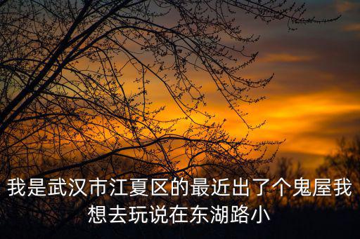 我是武漢市江夏區(qū)的最近出了個(gè)鬼屋我想去玩說(shuō)在東湖路小