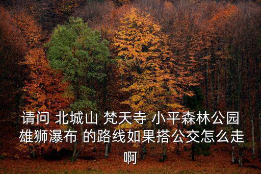 請問 北城山 梵天寺 小平森林公園 雄獅瀑布 的路線如果搭公交怎么走啊
