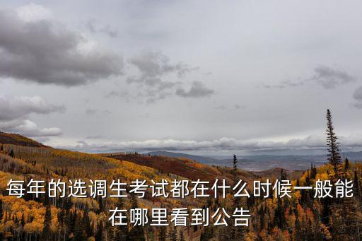 每年的選調生考試都在什么時候一般能在哪里看到公告