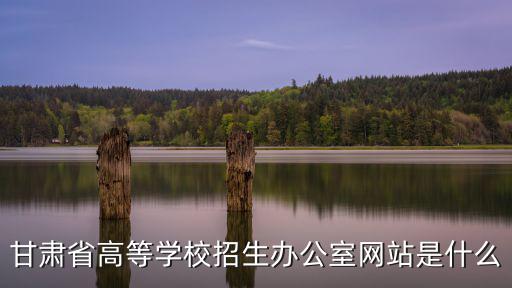 甘肅招生辦，甘肅省高等學校招生辦公室網站是什么