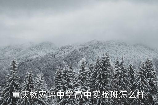 重慶楊家坪中學高中實驗班怎么樣